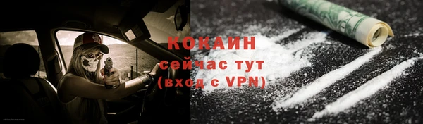 гашик Верея