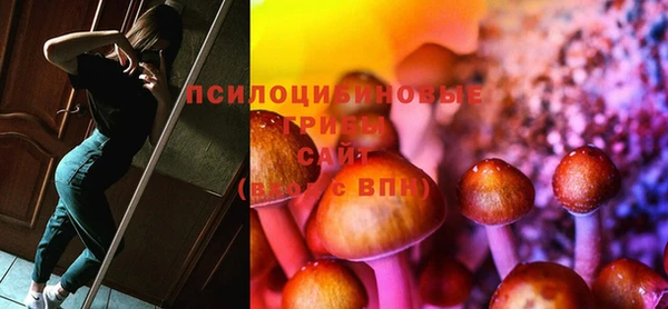 прущая мука Магадан